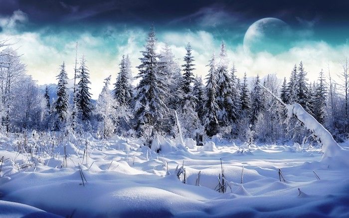 en skog med mange trær og snø - en blå himmel med hvite skyer og en stormåne - romantiske vinterbilder
