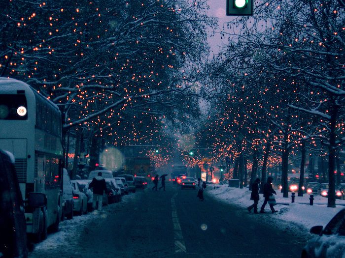 en gate med folk og biler og trær med lys - vinterbilder