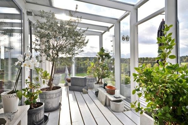 grădină de iarnă-design-idei-plante-oliv-orhidee-scandinav-stil-conservator-make
