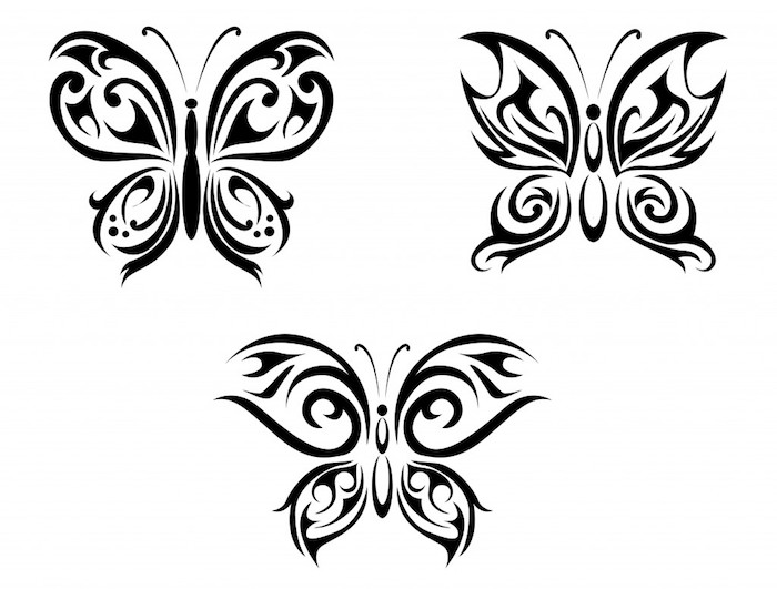 pozrite sa na týchto troch skvelých a veľmi pekných čiernych lietajúcich motýľov s čiernymi krídlami