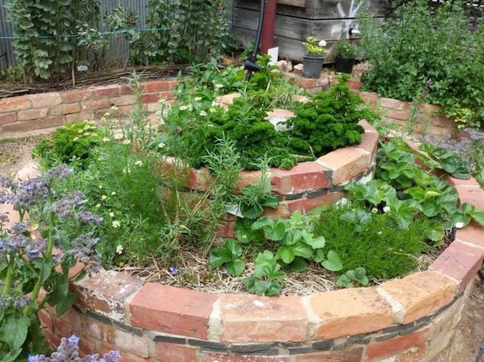 Vă recomandăm să aruncați o privire la această idee spirală de plante medicinale cu plante verzi și ierburi mici și pietre mici