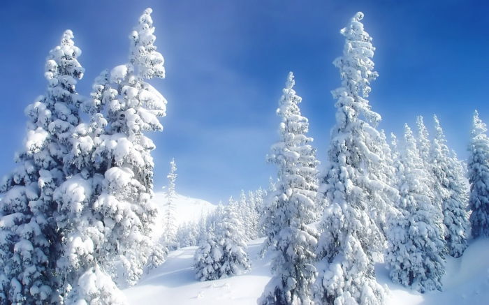 tikrai-gražus natūralus-in-žiemą
