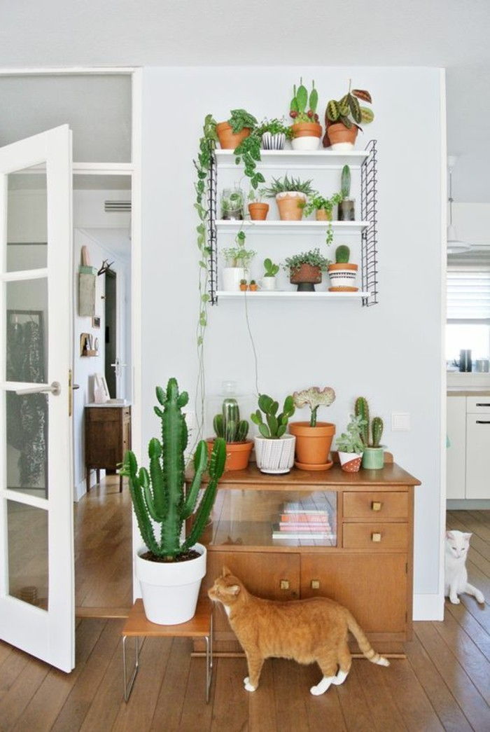 Decor-ideer-pflanzenundblumenimwohnzimmer-katt hjemme-plante-sokkel