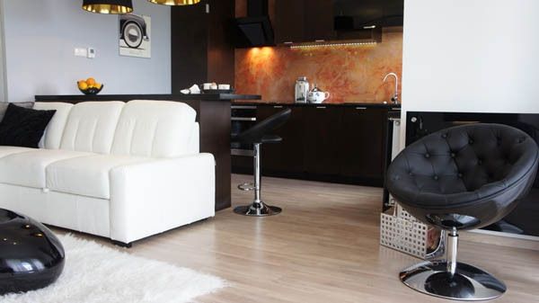 Namų, mažos buto, gyvenamasis kambarys su baltu sofa-ir-juoda kėdė