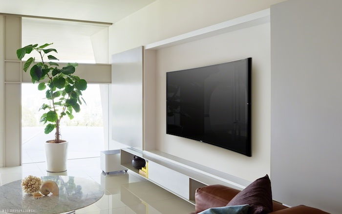 panel tv na białej ścianie ścienny design kolor ściana biały czarny telewizor zielona roślina dłoń w pokoju