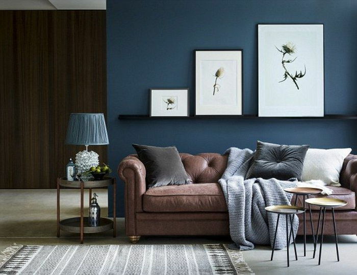 modra dnevna soba stena, okrašena s slikami rastlin v treh različnih velikostih