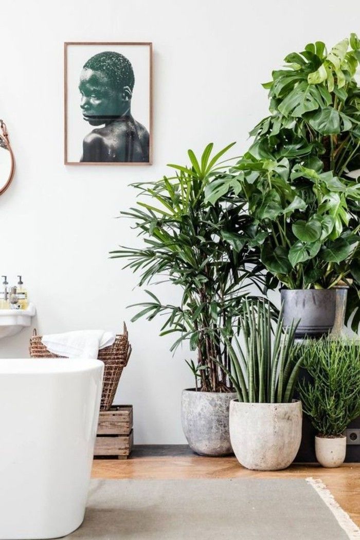 wohnzimmereckemitpflanzen-Decor-ideer-dekorasjon tips-dekorasjon tips-stue