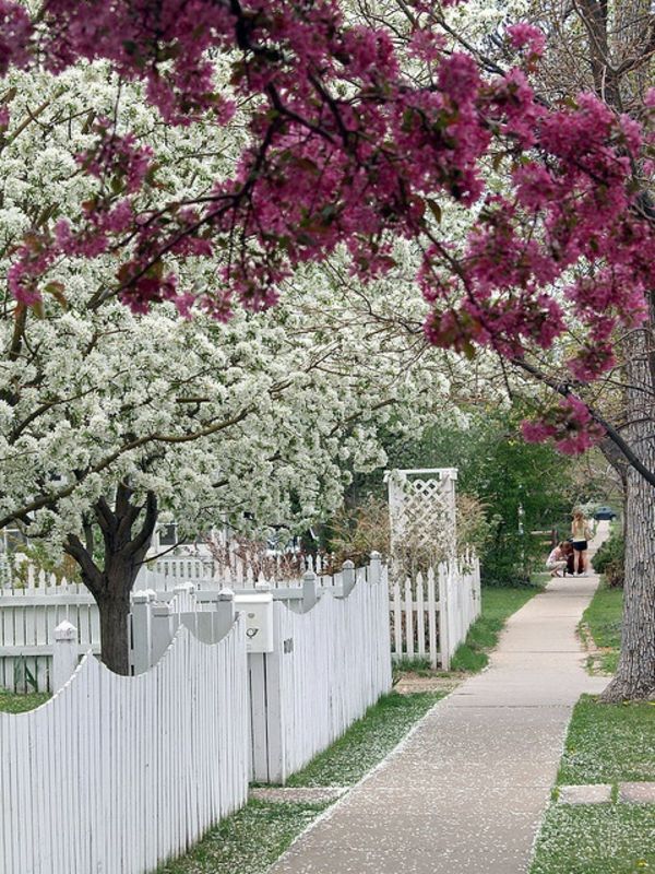 nádherné drevené záhradný plot-in-White