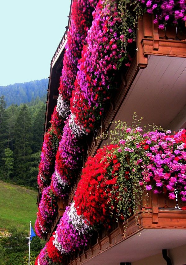gražus gėlių dėžės-by-the-balkonu