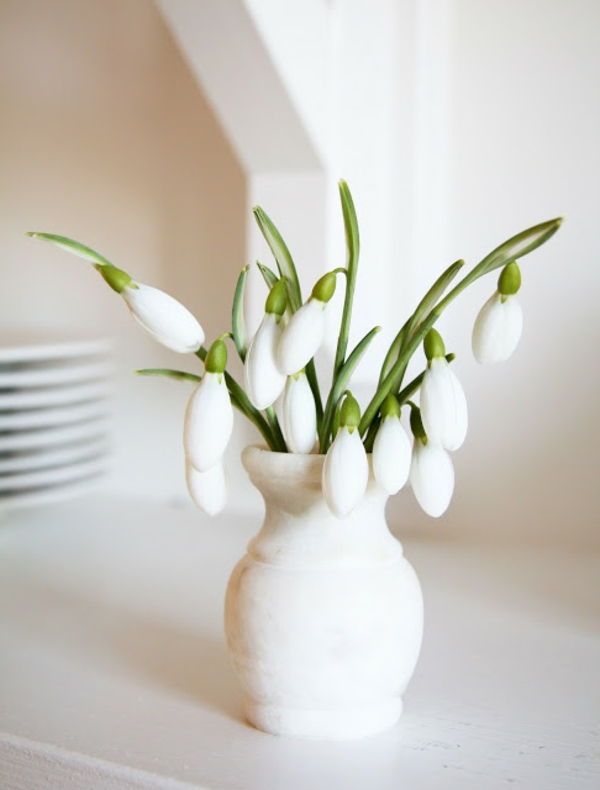 frumos-deco-Galanthus nivalis-Amaryllis-zăpadă-alb-flori-plante-in-alb vaza