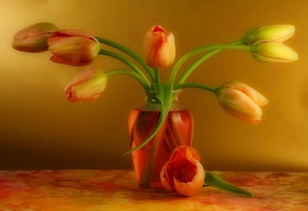 Francuski-piękne tulipany-in-a-wspaniały-waza