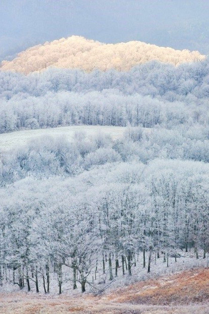 kış manzara güzel uyandıran görüntüler-sonsuz-buzlu ormanlar