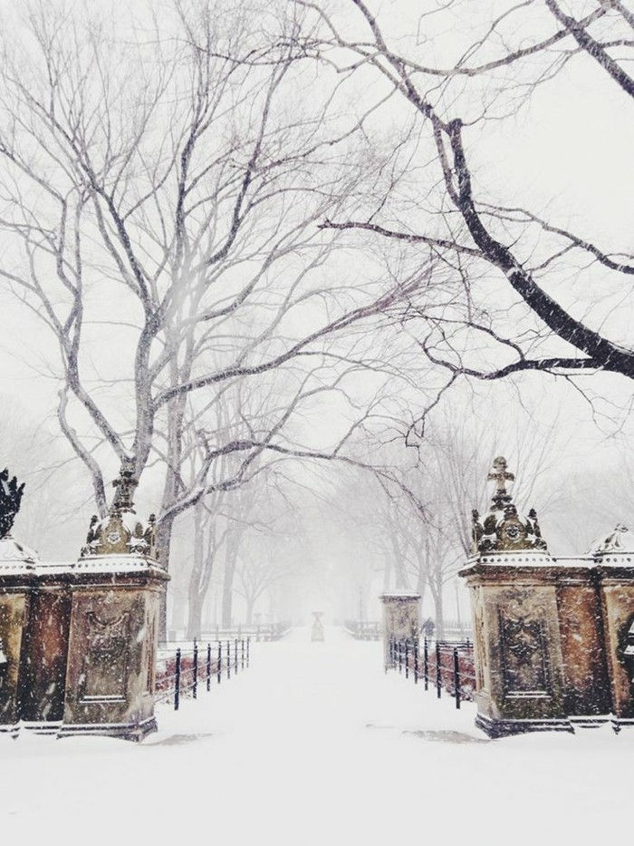 krásne zimné fotografie Park v zime všetko pokryté-s-sneh