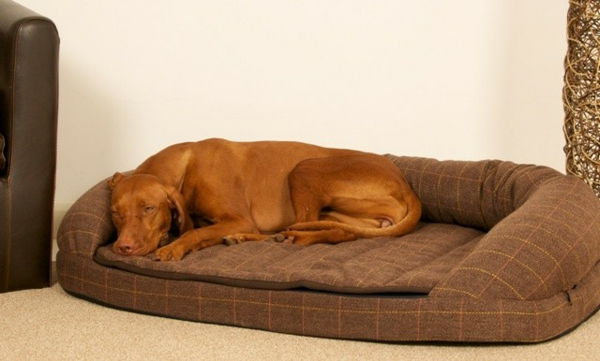 xxl-hund-säng-brunfärg - stor brun hund