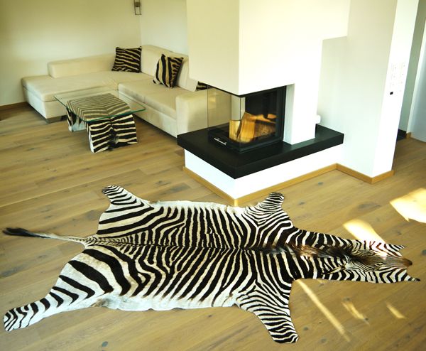 Zebra kailių baldai-odiniai