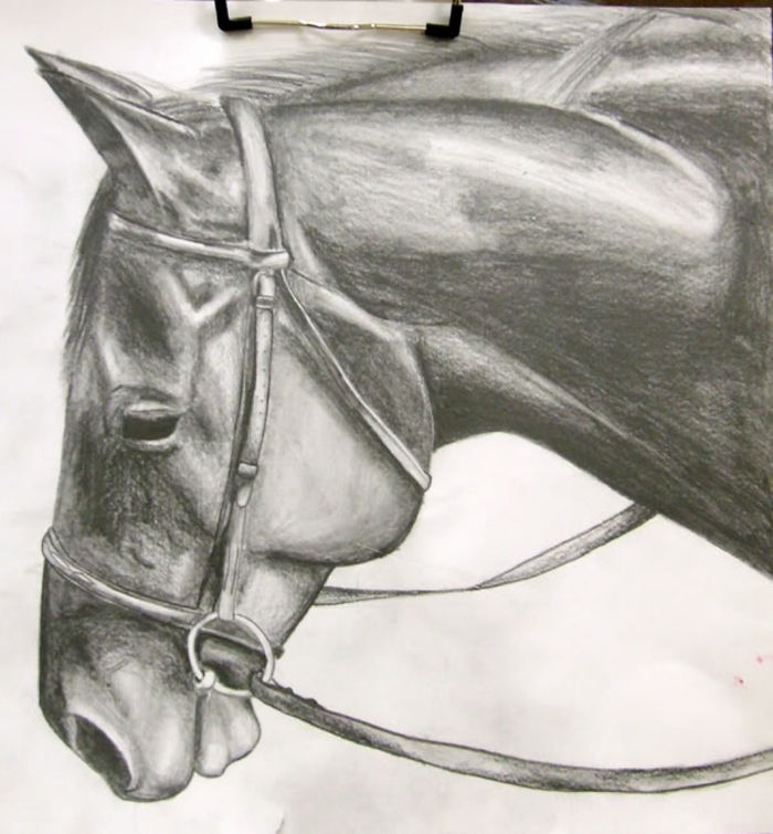 ritningar-med-penna-a-vackra-häst