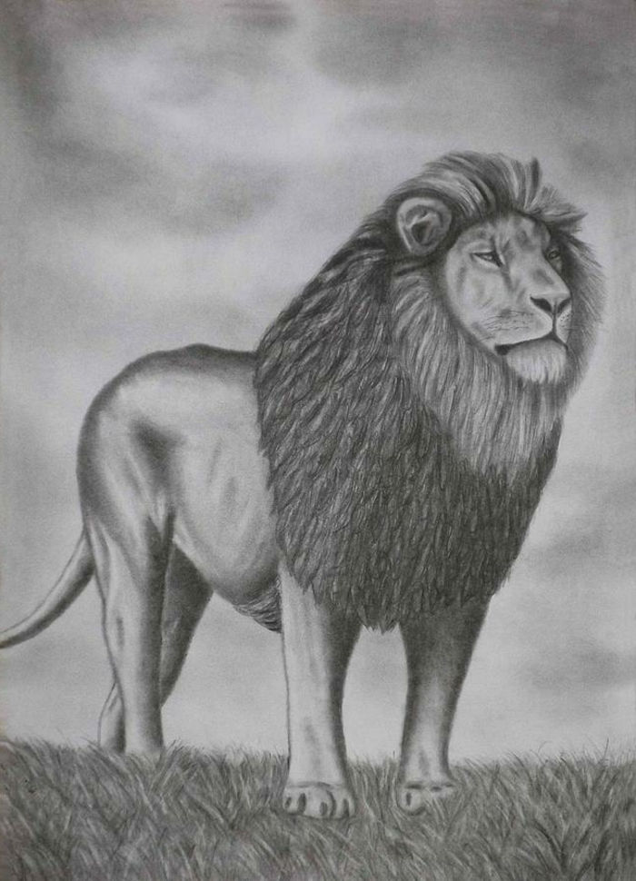ritningar-med-penna-a-super-vackra-lion