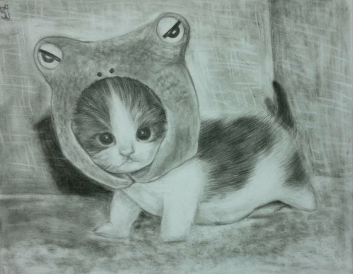 Rysunki-z ołówka-a-małą-cat
