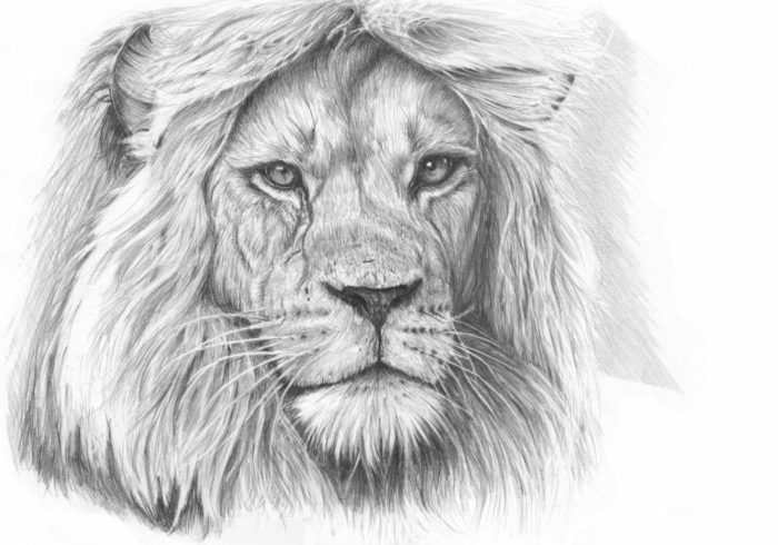 rysunki ołówkiem-z-a-wspaniałego lwa