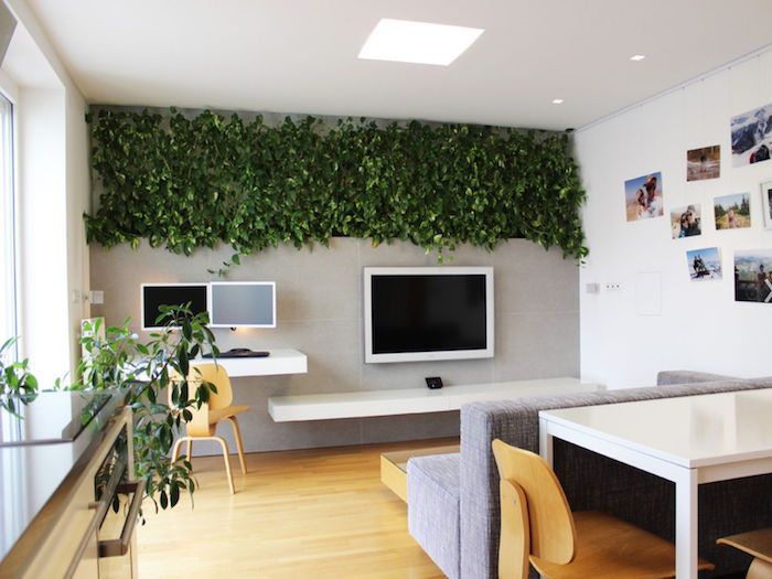 camera de zi compactă, studiourile și sala de mese cu plante de iarnă decorațiuni umbrite