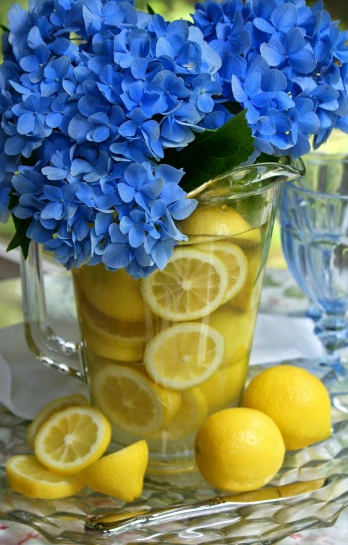 Lemon dekódovať a modré kvety a citrón vo vode