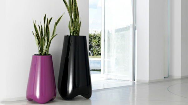 dviejų aukštų vazos violetinės ir juodos su žaliaisiais augalais