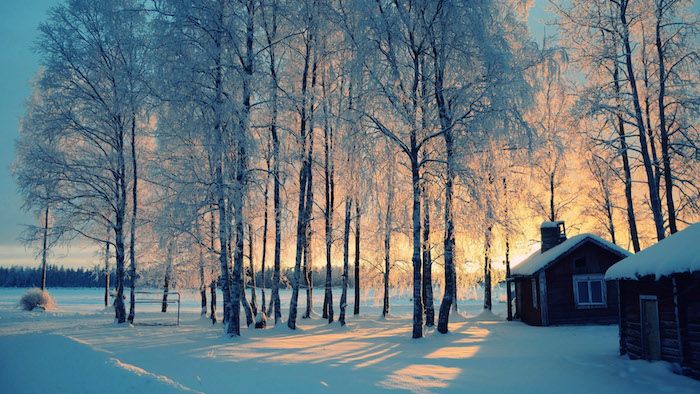 miškas su daug medžių ir sniego saulėlydyje ir du namai -